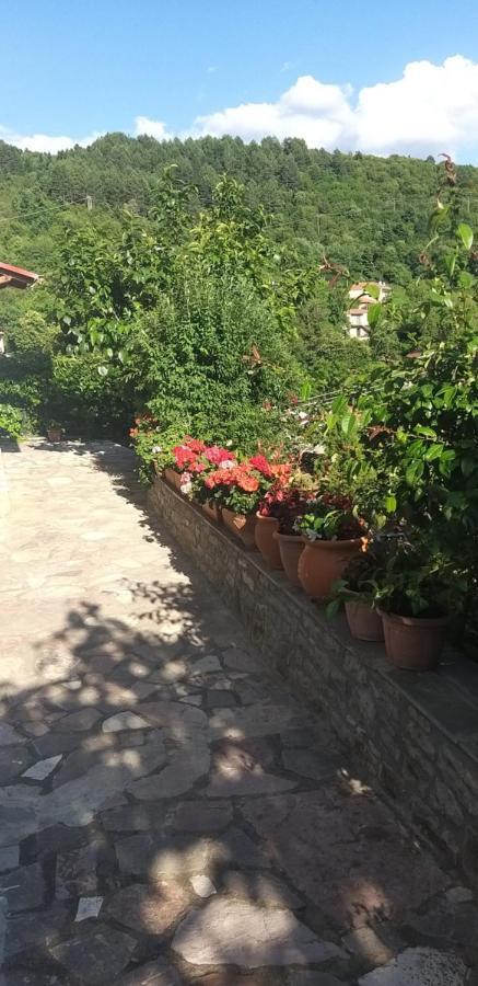 Апартаменти Το Σπίτι Της Ευτυχίας Σουίτα Karpenisi Екстер'єр фото